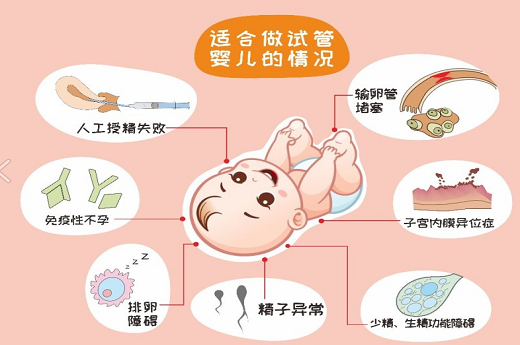 多囊卵巢泰国试管婴儿流程，泰国试管详细步骤是什么-第3张-试管婴儿百科-欣悦国际