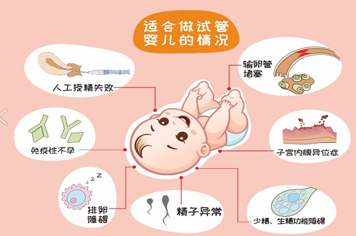 泰国试管婴儿好的做(泰国试管最好的医院是哪家)-第3张-试管婴儿百科-欣悦国际