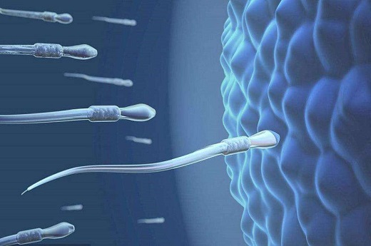 泰国试管婴儿费用一般是多少,男性染色体异常能做试管婴儿吗？-第2张-试管婴儿百科-欣悦国际