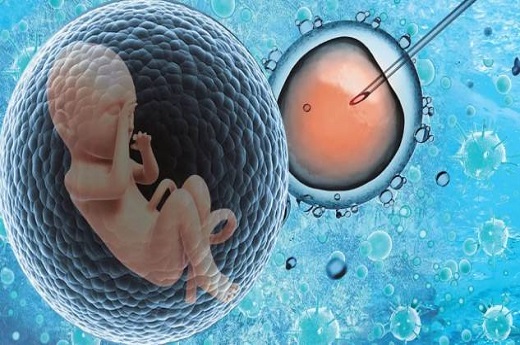 泰国试管婴儿五个囊胚 泰国试管多少天可以完成-第3张-试管婴儿问答-欣悦国际