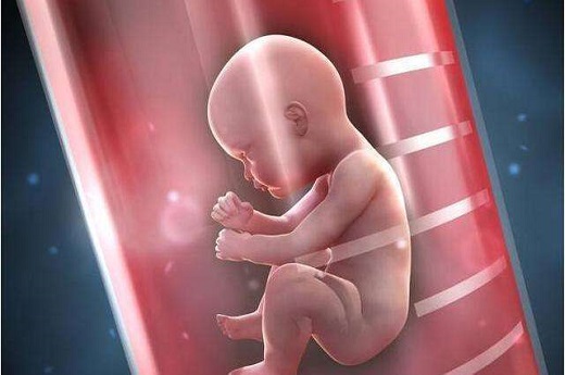 泰国试管婴儿停育案例视频，泰国试管婴儿胚胎停育的原因有哪些-第3张-试管婴儿问答-欣悦国际