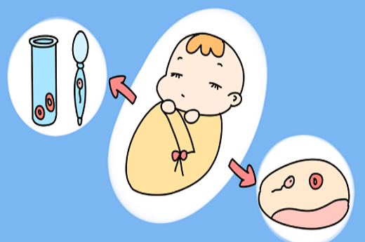 泰国试管婴儿的内膜要求？泰国第三代试管婴儿条件如何？-第2张-试管婴儿问答-欣悦国际