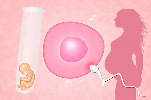 泰国试管婴儿双胞胎hcg值 在泰国试管婴儿之后女性一般多久才有受孕反应-第1张-试管婴儿问答-欣悦国际