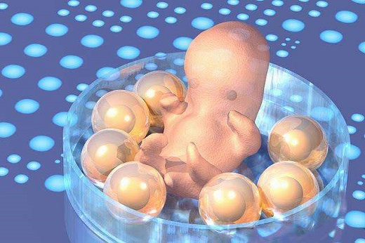 泰国试管婴儿女性流产？做泰国试管婴儿遇到胚胎停育要如何是好-第3张-试管婴儿问答-欣悦国际